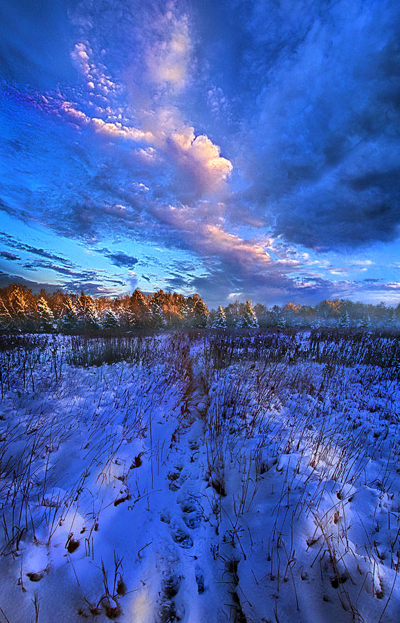 Winter Photograph - Cool Blue North by Phil Koch