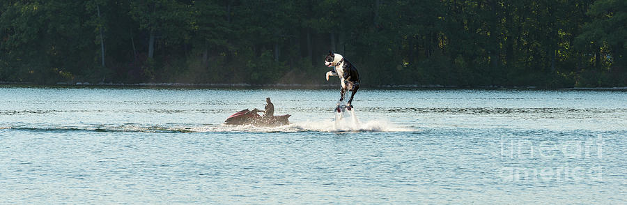 Cool Dog On A Water Jet Pack Digital Art by Les Palenik
