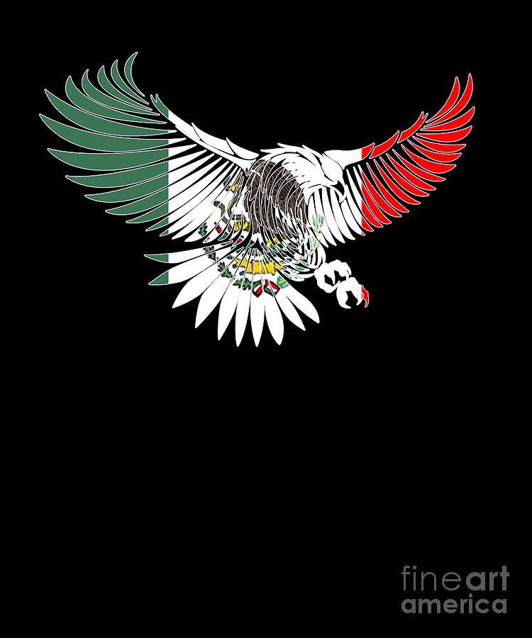 Drawing mexican flag eagle outline. 