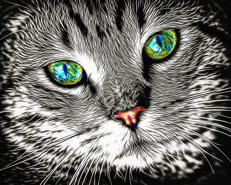 Cool fractalized cat portrait with amazing eyes Digital Art by Matthias Hauser