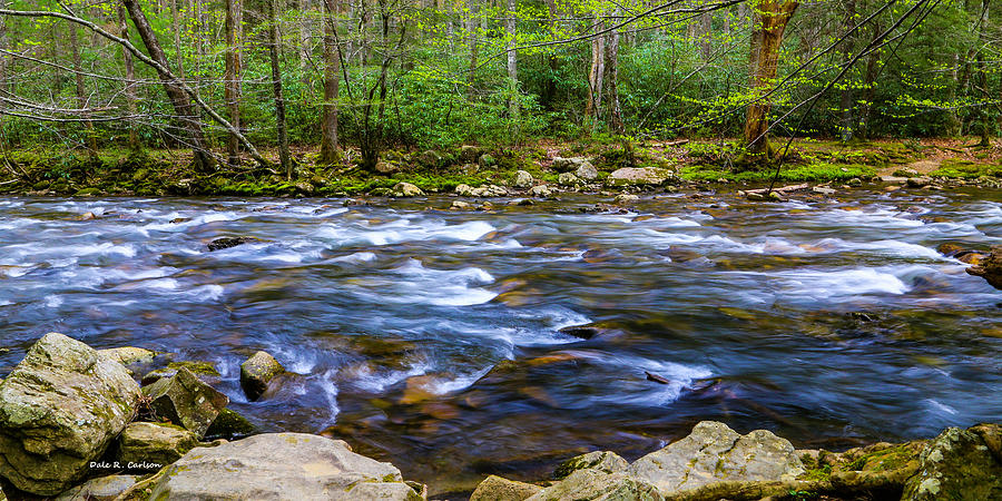 Cool Green Spring Flow Photograph by Dale R Carlson