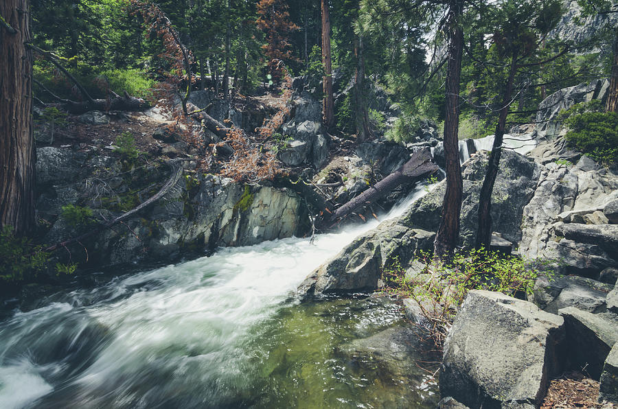 California Photograph - Cool Mountain Stream by Margaret Pitcher California Photograph - Cool Mountain Stream by Margaret Pitcher