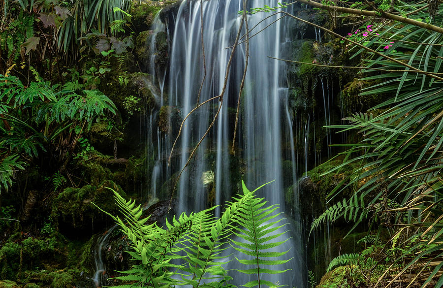 Waterfall Photograph - Cool Spot on a Hot Day by Robert Coffey
