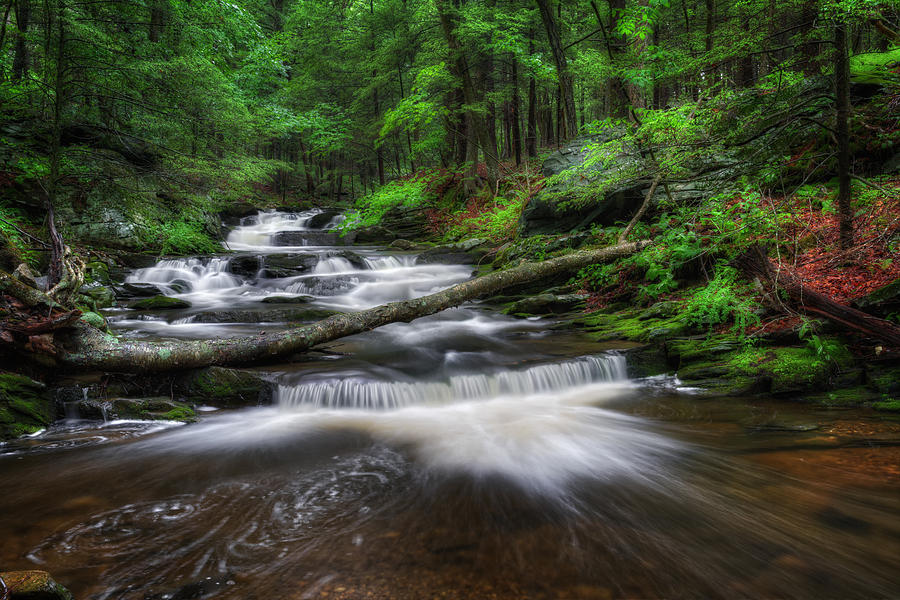 Waterfall Photograph - Cool Spring Stream by Bill Wakeley