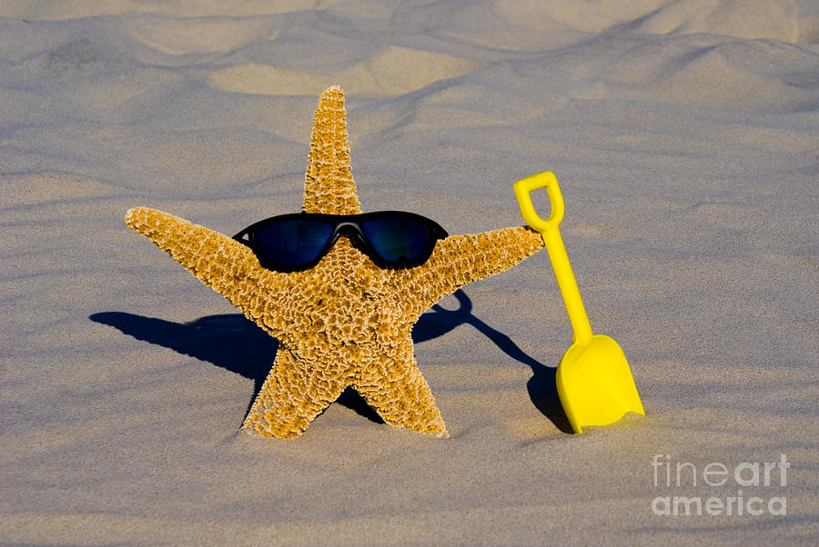 Cool Starfish Photograph by Anthony Totah