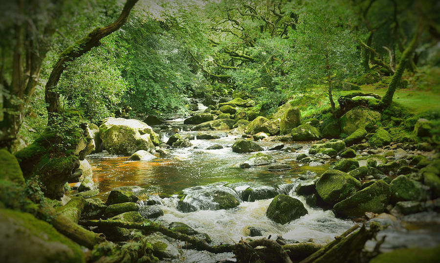 Cool summer water. Photograph by George And Sally Stevenson - Pixels