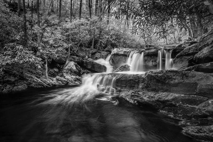 Black And White Photograph - Cool Waters in Tremont by Jon Glaser