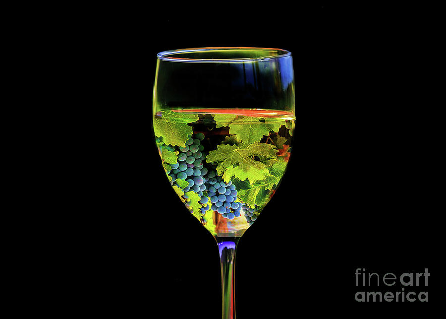 Cool Wine Glass Art Photograph by Stephanie Laird