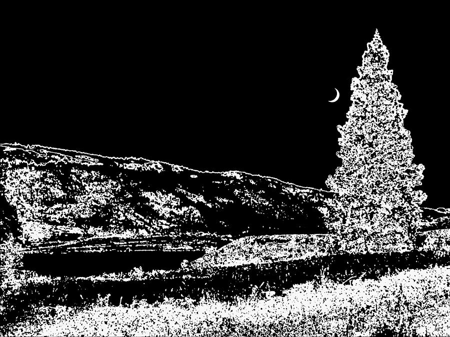 Black And White Digital Art - Cool Winter Night by Will Borden