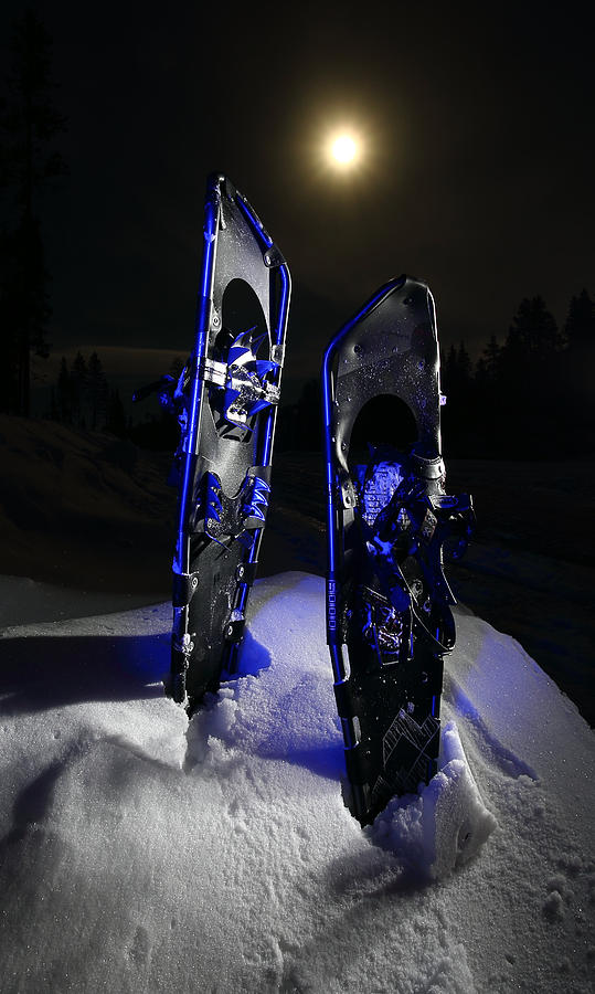 Cool Winter Shoes Photograph by David Andersen