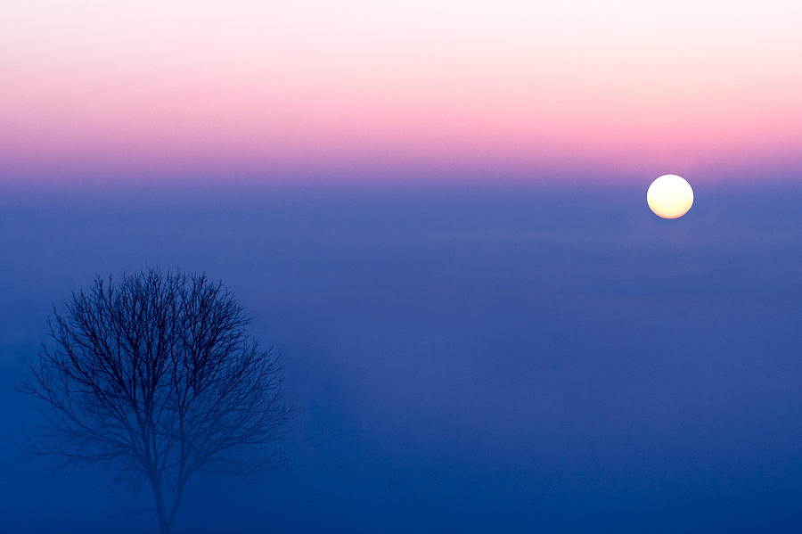 Cool Winter Sun Photograph by Todd Klassy