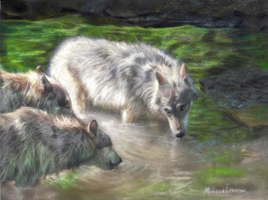 Cooling Off Pastel by Melissa Herrin