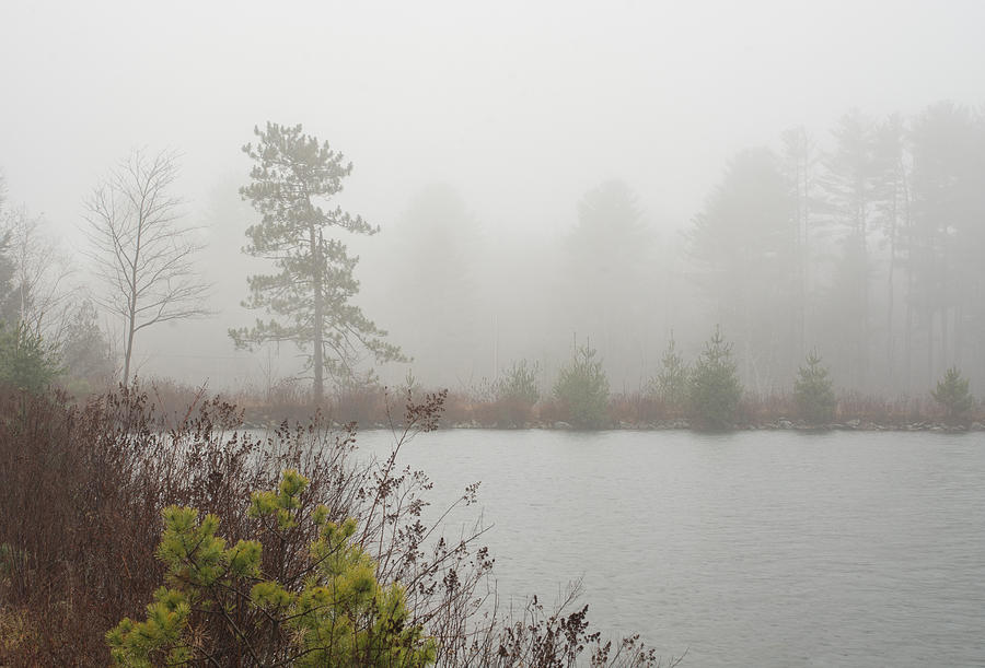 Cooper Lake Foggy Morning Photograph by Nancy De Flon