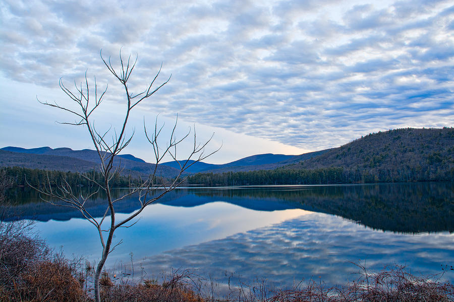 Cooper Lake Grunge Photograph