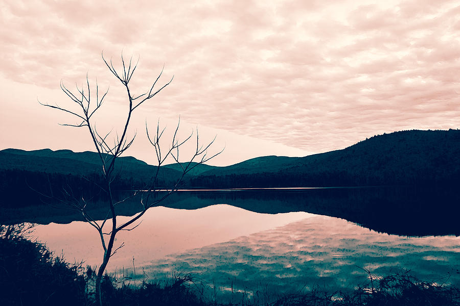 Cooper Lake Tint Photograph by Nancy De Flon