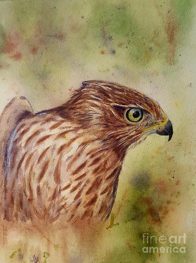 Nature Painting - Coopers Hawk by Patricia Pushaw