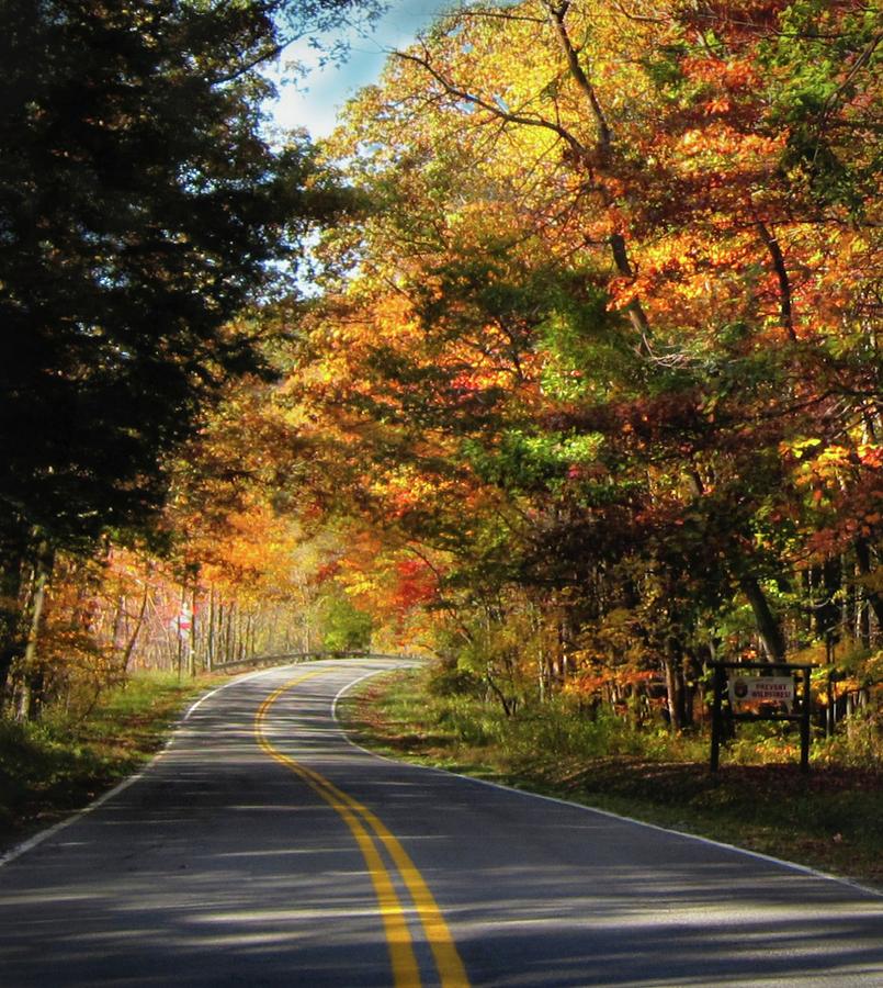 Cooper's Rock Road Photograph by Michael Forte | Fine Art America