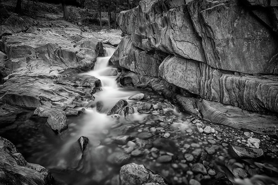 Tree Photograph - Coos Canyon Maine Black and White by Rick Berk