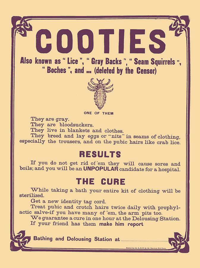 Old Print Delousing Lice Cooties Warning Poster Collectibles Collectible Vintage And Antique