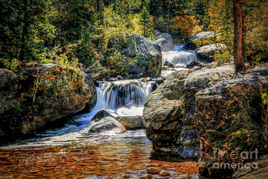 Copeland Falls Photograph by Lynn Sprowl