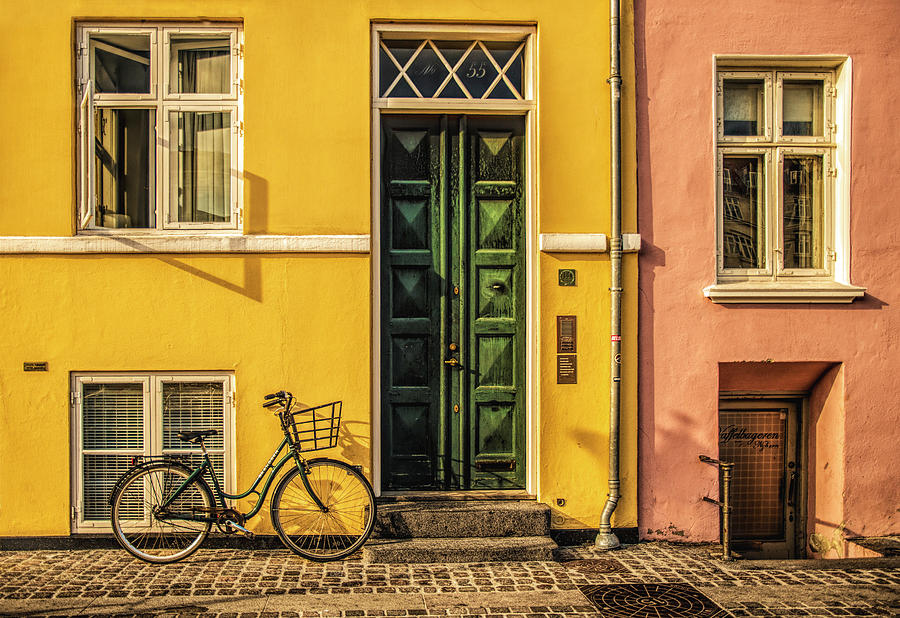 Copenhagen Transportation Photograph by Mick Burkey