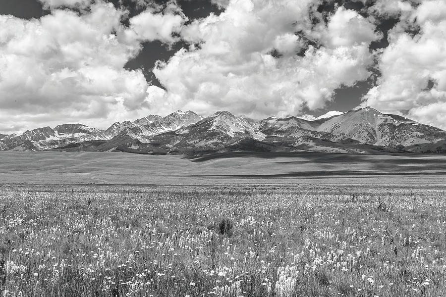 Copper Basin Meadows Photograph by Mark Mille