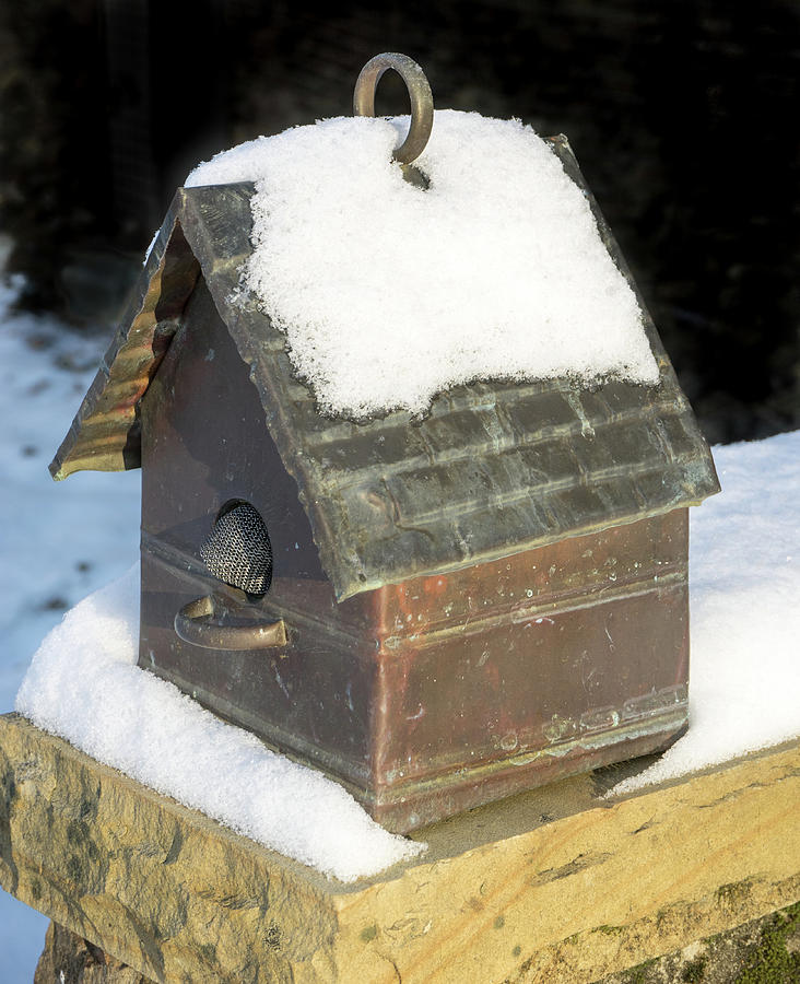 Copper Bird House in the Snow Photograph by Douglas Barnett
