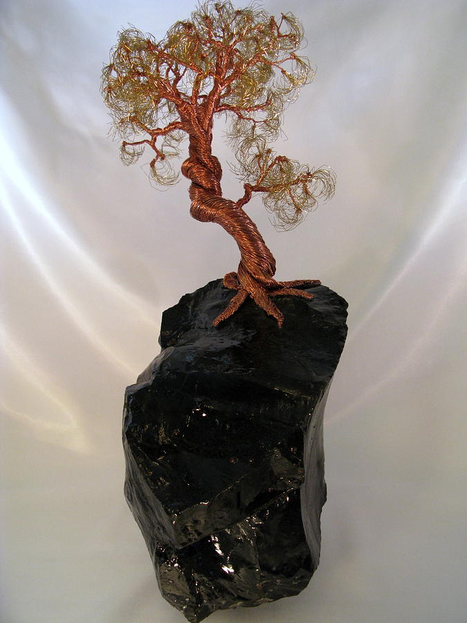 Nature Mixed Media - Copper-Brass-Black Glass  by Judy Byington