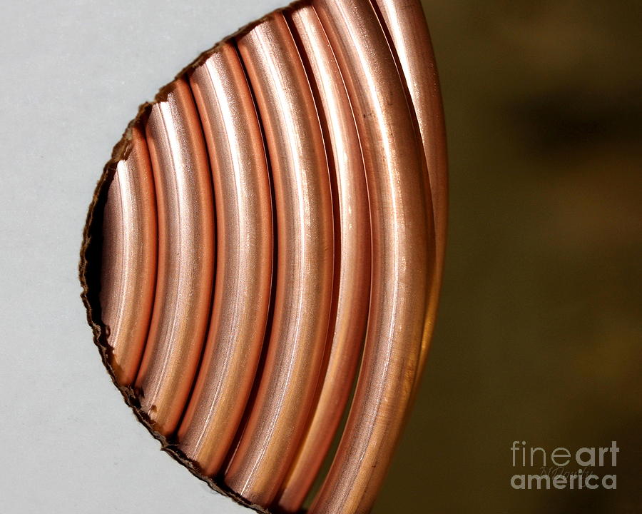 Copper Curves Photograph by Natalie Dowty