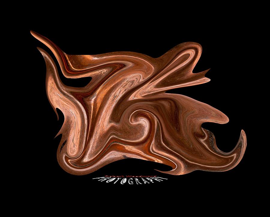 Copper Dream Transparency Digital Art by Robert Woodward