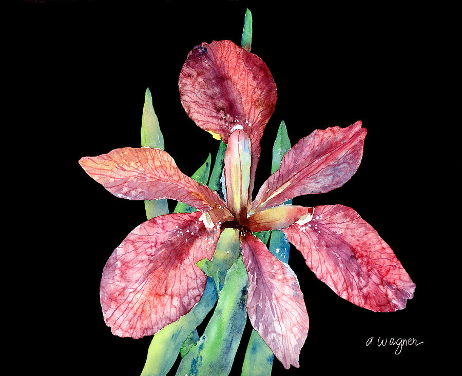 Copper Iris On Black Painting by Arline Wagner