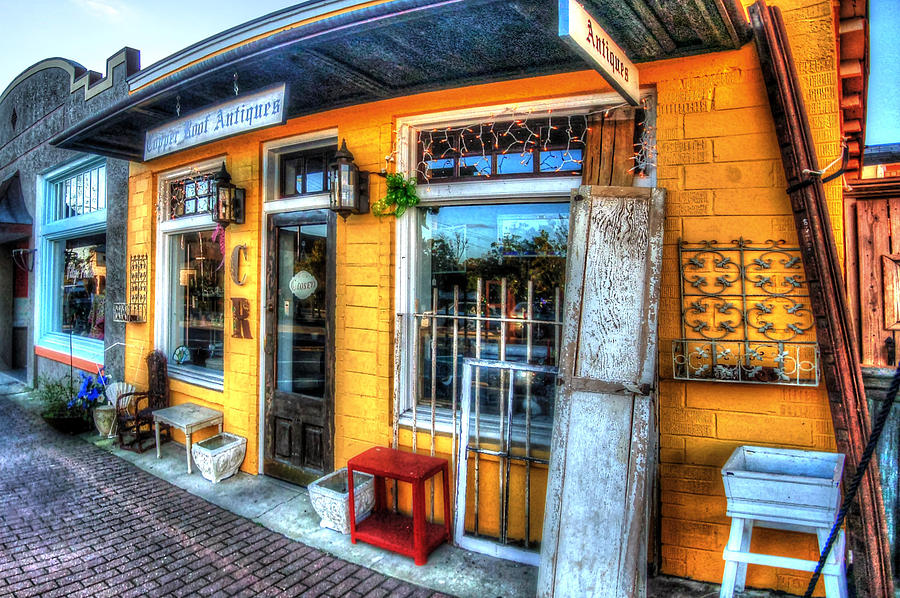 Copper Roof Fairhope v2 Photograph by Michael Thomas
