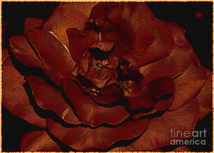 Copper Rose Photograph by Terri Thompson - Fine Art America