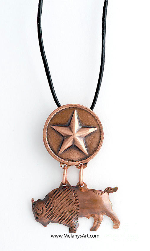 Copper Texas Star and Bison Pendant Necklace Photograph by Melany Sarafis