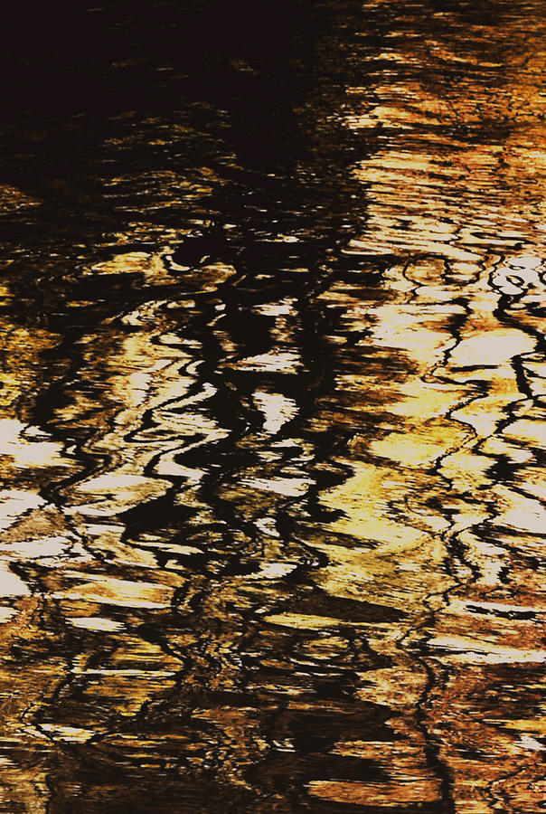 Copper Tones Digital Art by Richard Andrews