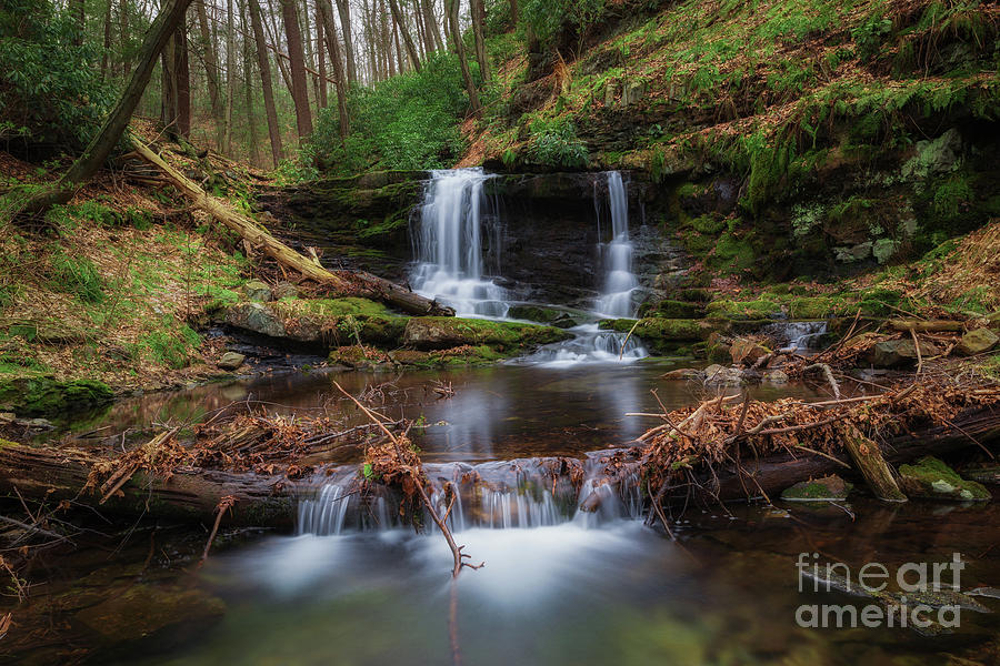 Waterfall Photograph - Coppermine Falls  by Michael Ver Sprill