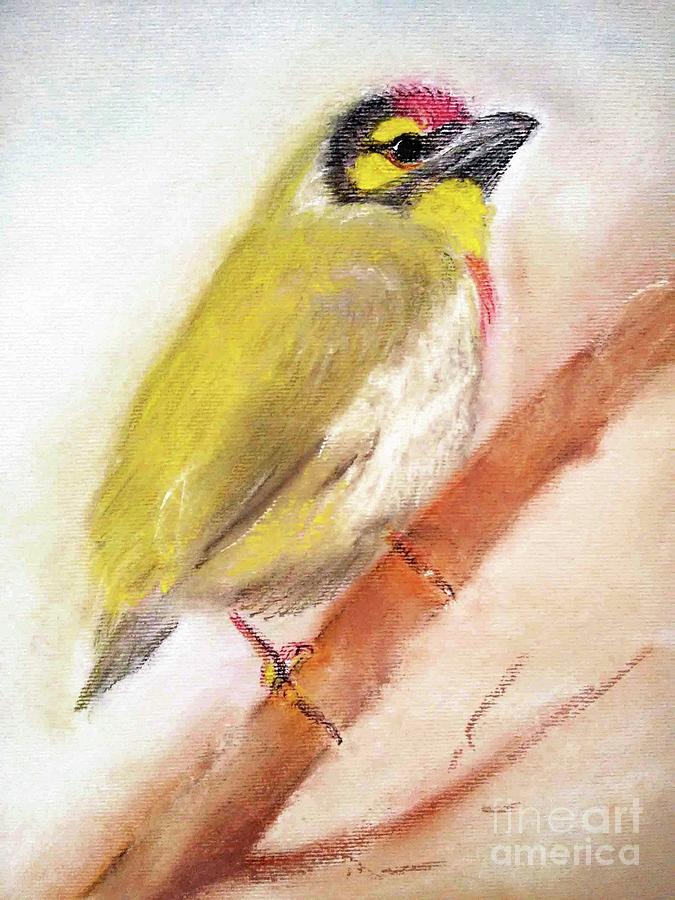Coppersmith Barbets Painting by Jasna Dragun
