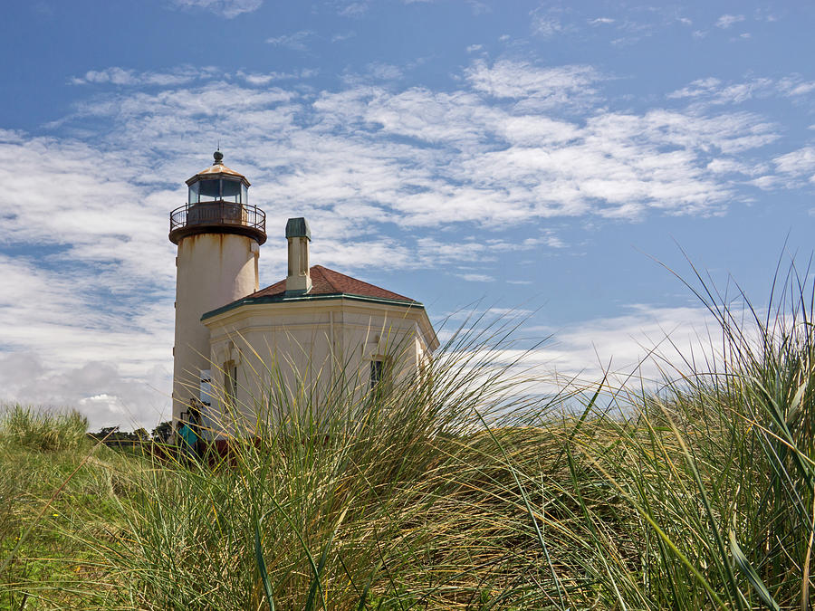 Coquille Lighthouse H Photograph by Inge Riis McDonald