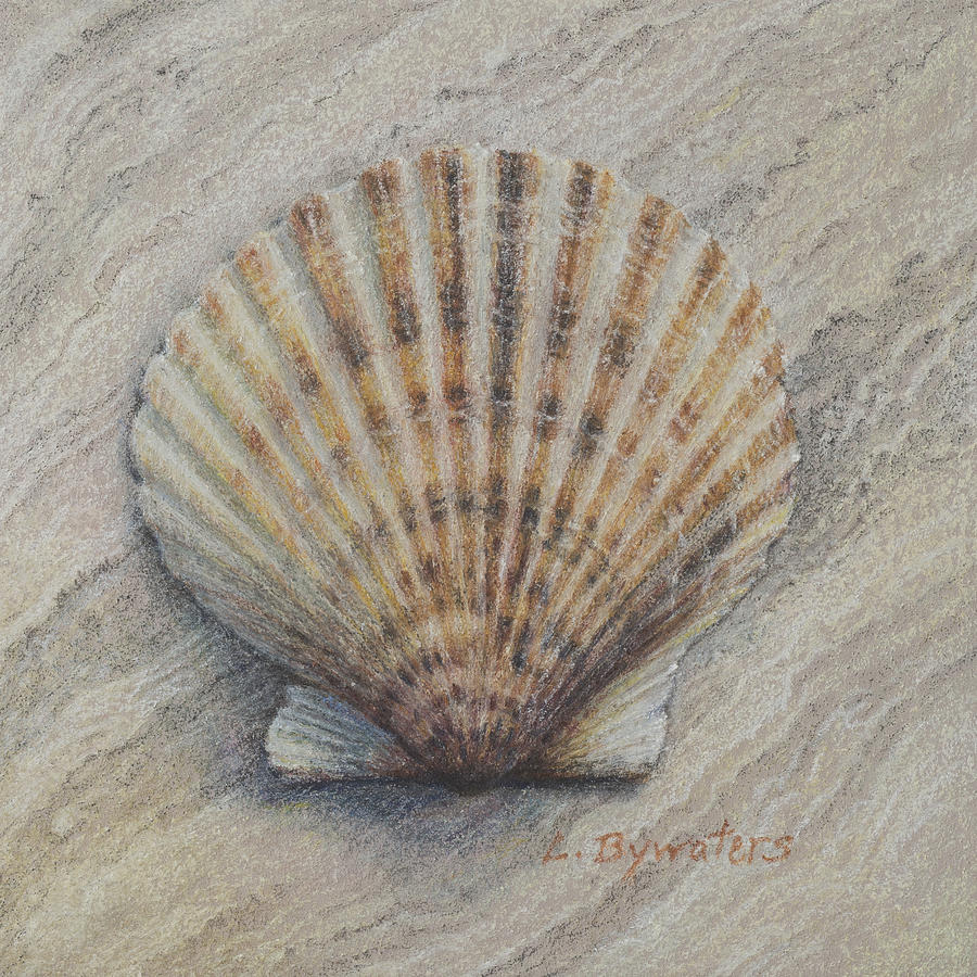 Coquille Rayee Painting by Lynn Bywaters