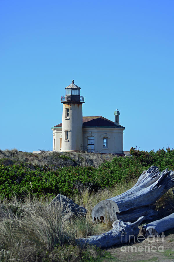 Lighthouse Photograph - Coquille River Lighthouse 1896 by Gale Cochran-Smith