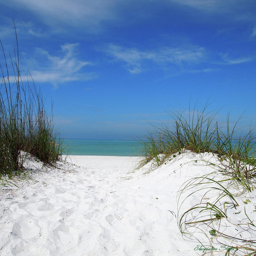 Coquina Dunes by Jacqueline Sleter Coquina Dunes by Jacqueline Sleter