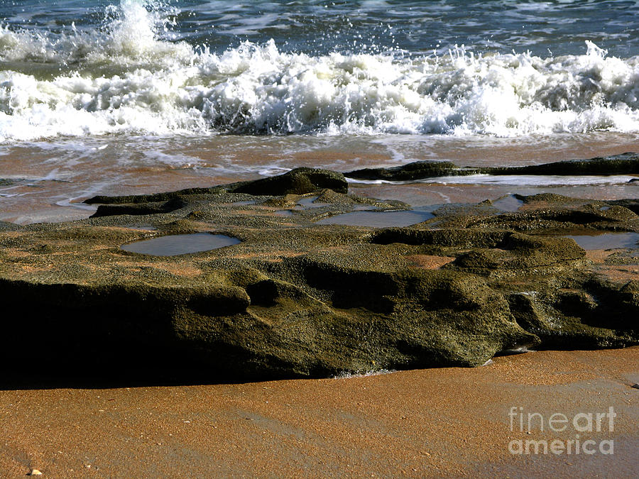Coquina rock with wave  2-8-15 Photograph by Julianne Felton