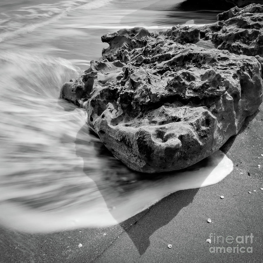 Coquina Rocks and Wave, Jupiter, Florida -39216-BW by John Bald Coquina Rocks and Wave, Jupiter, Florida -39216-BW by John Bald