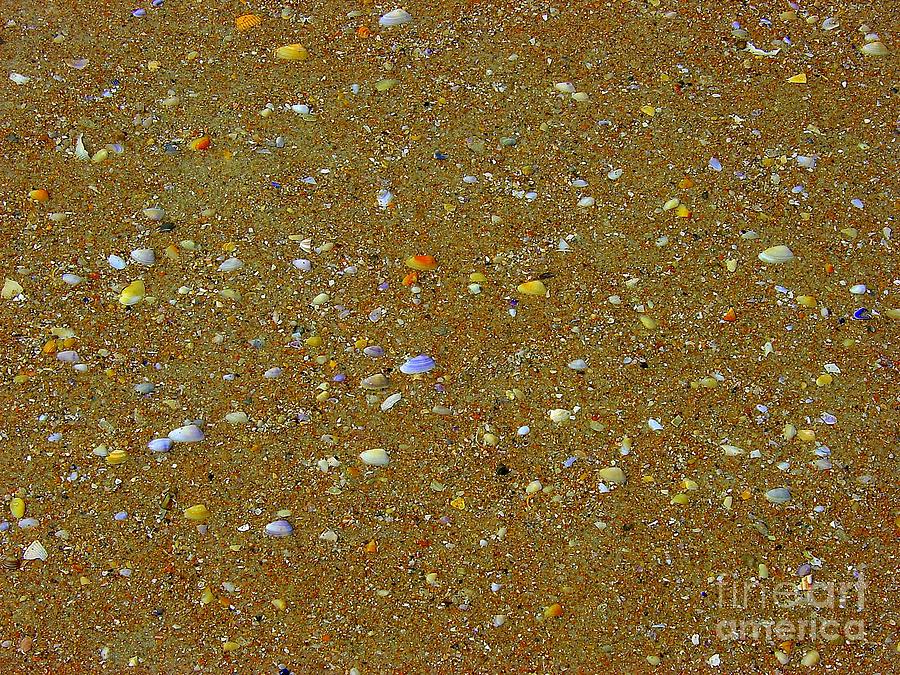 Coquina shells on the beach at Ponce Inlet FL Photograph by Larry ...