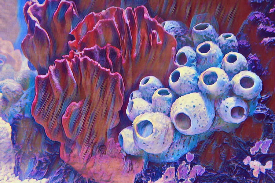 Coral Art Photograph