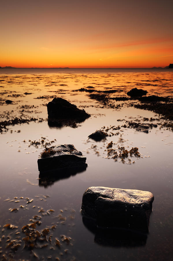 Sunset Photograph - Coral Beach Sunset by Grant Glendinning