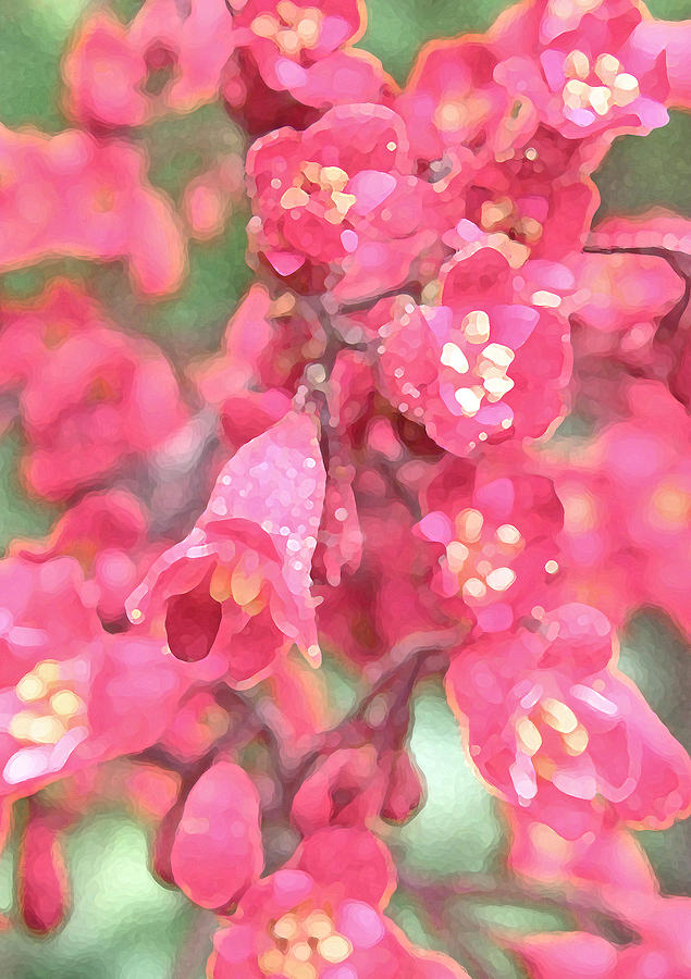 Flower Photograph - Coral Bells by Jean Hall