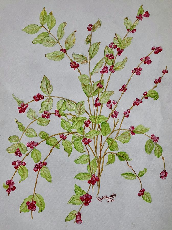 Coral Berry Painting by Rand Burns