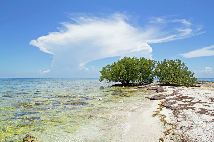 Coral Island Paradise Photograph by Christina Carlson - Pixels