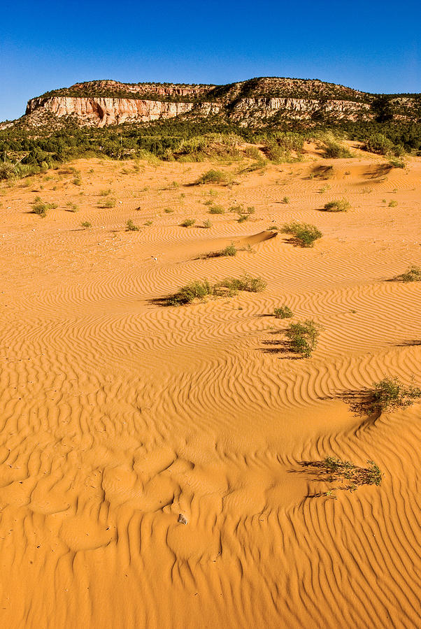 Coral Pink Sand Dunes State Park Photograph By Michael Vincent - Pixels